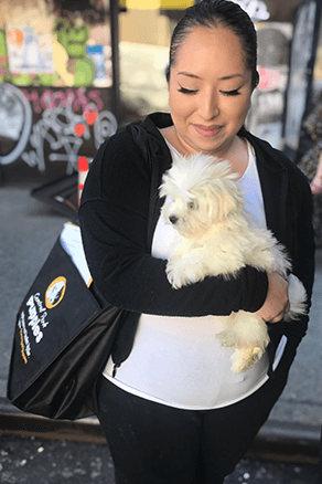 central-park-puppies-delivery-with-care-14