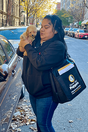central-park-puppies-delivery-with-care-17